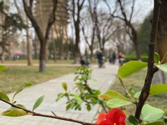 -玲珑塔公园