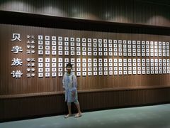 -贝壳王国博物馆