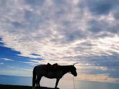 -青海湖国家重点风景名胜区