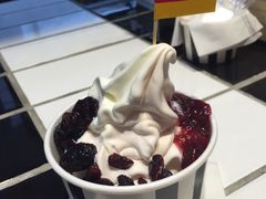 -JW德国冻酸奶Frozen Yogurt(龙湖成都滨江天街店)
