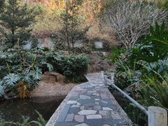 -深圳国际园林花卉博览园