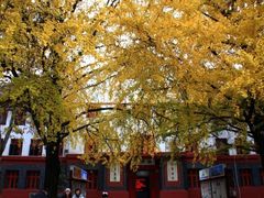 -四川大学(望江校区)