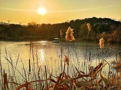 -昆山城市生态森林公园