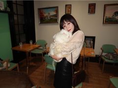 -猫色咖啡·猫咖
