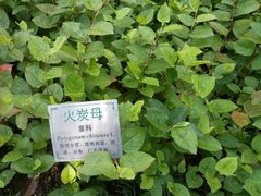 -广州神农草堂中医药博物馆