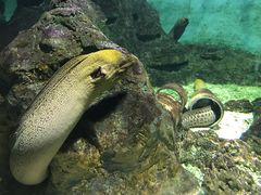 -北戴河圣蓝海洋公园