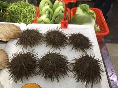 海胆饭-蚝专家(北滘店)