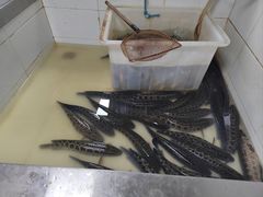 -都江堰石锅鱼