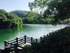 -白马涧龙池景区