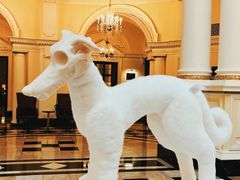 -Salon de Ville浦江汇(上海外滩华尔道夫酒店店)