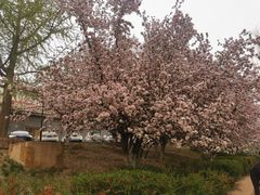 -元大都城垣遗址公园