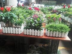 -秦美花卉(天朗·莱茵小城2期店)