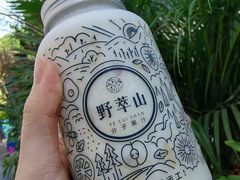 -野萃山·潮汕厚果汁(十亩地店)