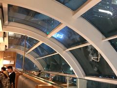 -农畉LONFOOD(福田星河COCOPark店)