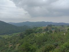 -大姆山草场