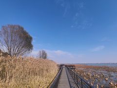 -莲花岛景区