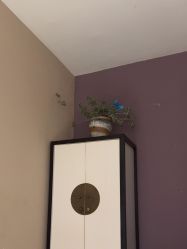 -香秀空间科技抗衰·美容中心