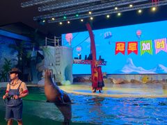 -三亚海昌梦幻海洋不夜城