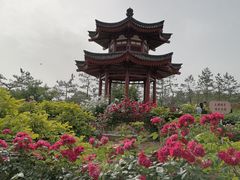 -大慈恩寺(大雁塔)