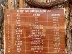 -呀路古热带植物园