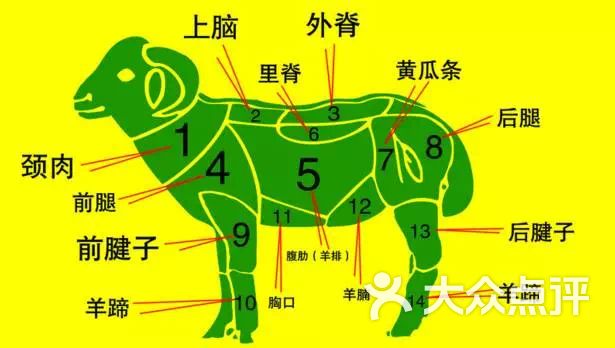 饕餮小星星_1771上传的图片