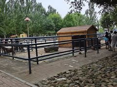 -长白岛森林公园