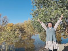 -金塔沙漠胡杨林景区