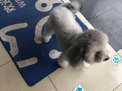 -宠颐生中康贝怡动物医院