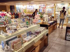 -猫的天空之城概念书店(苏州平江店)