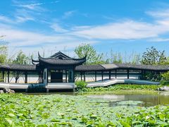 -上海滨江森林公园