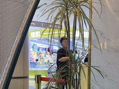 -烹然四季椰子鸡火锅(姚家园万象汇店)