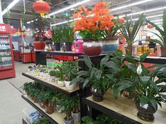 -卜蜂莲花(浦江城市生活广场店)