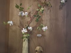 -Dragonfly悠庭·按摩Spa(浦东嘉里城店)