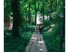 -浙江大学(玉泉校区)