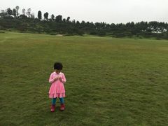 -秀丽东方