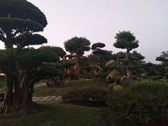 -南宁南湖公园