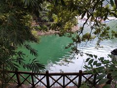 -广州市流溪河国家森林公园