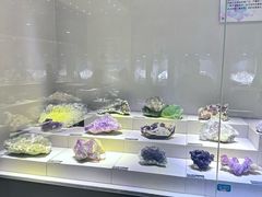 -河南自然博物馆