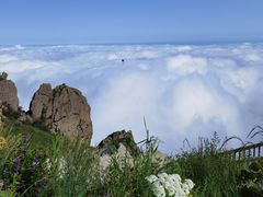 -白草畔自然风景区