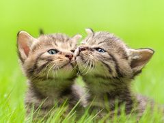 -晓伟海鲜家常菜