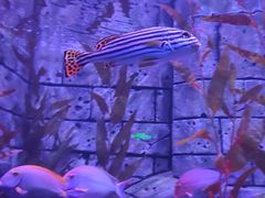 -波塞冬旅游度假区