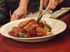 -丁老爷子苏香圆