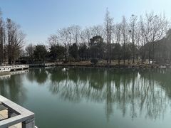 -白塘生态植物园