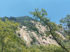 -泰山风景名胜区