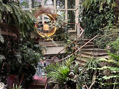 -正佳雨林生态植物园