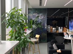 -马泷齿科·成都锦江置略马泷口腔门诊部(IFS国金中心店)