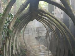 -青青世界