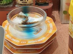 -元气寿司(金光华店)