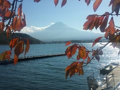 -河口湖八音盒之森美术馆