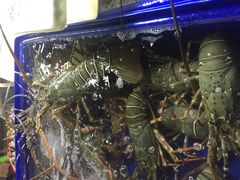 班赞生鲜市场-班赞海鲜市场